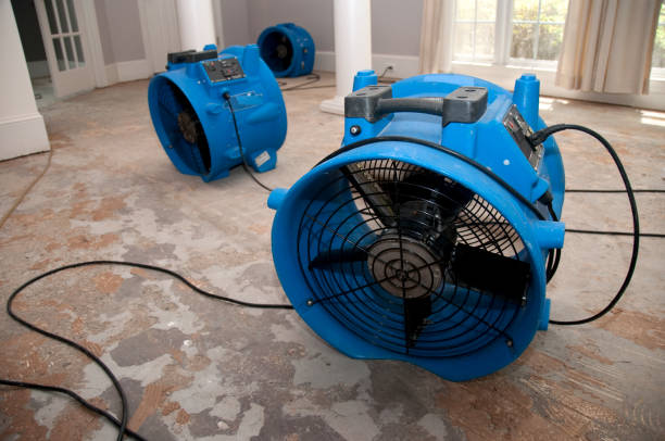 Best Water damage restoration near me  in James City, NC