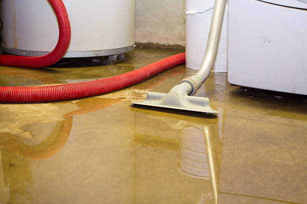 Best Carpet water damage restoration  in James City, NC